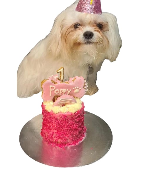 Dog Birthday Cake