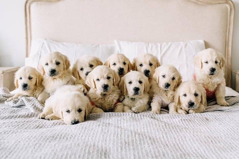 The famous 10 on the bed shot.