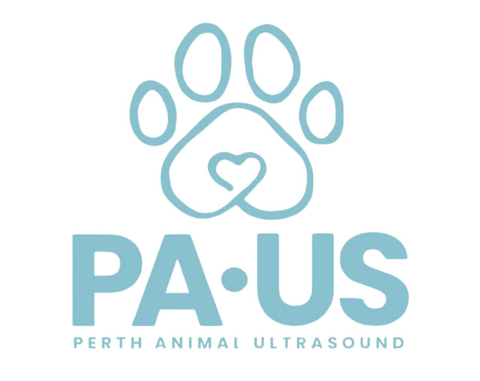 PERTH ANIMAL ULTRASOUND