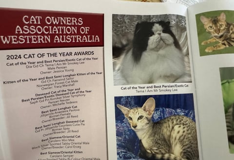 We are in the ACF magazine 