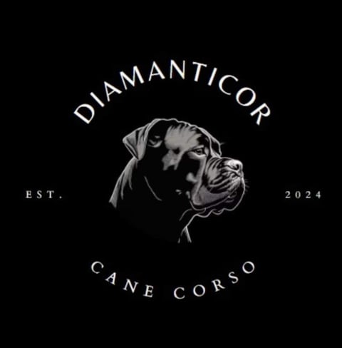 Diamanticor Cane Corso 