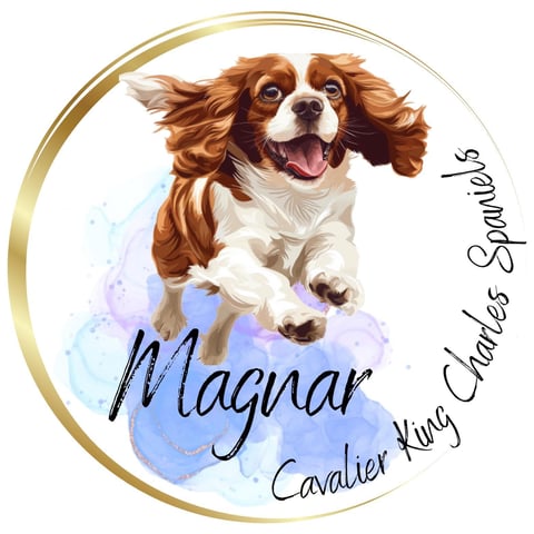 Magnar Cavaliers