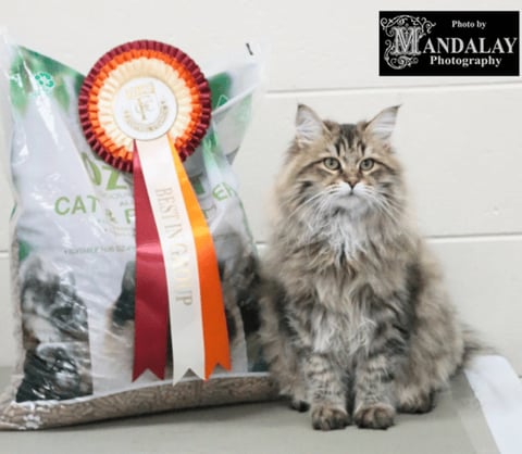 Feline Control Council Victoria 