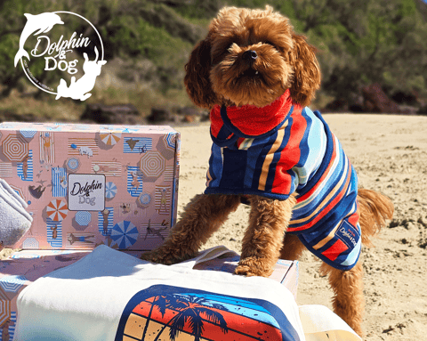 Custom Dog Gift Box
