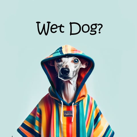 Dog towel