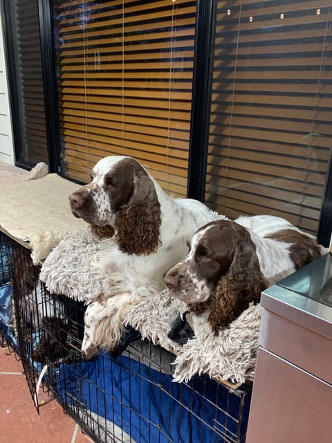 Arthur and Lola