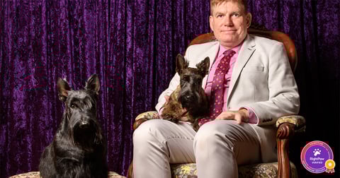 Dumbarton Scottish Terriers