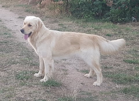 profile (1)