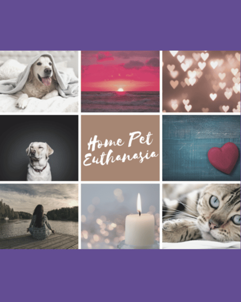 At-home peaceful Euthanasia service
