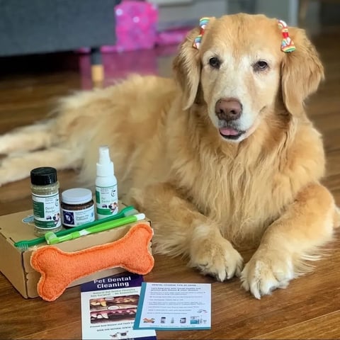 Natural Pet Dental Kit
