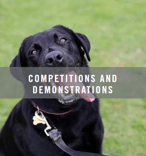 Competitions & Demonstrations