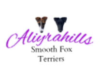 Aliyrahills Fox Terriers