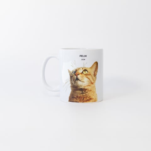 Custom Pet Mugs