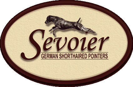 Sevoier German Shorthaired Pointers