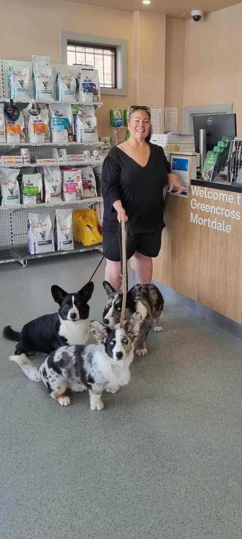 A recent trip to the vet!