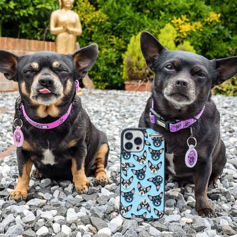 Pet Portrait Phone Case