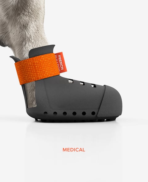 PAW ARMOR summer dog shoe