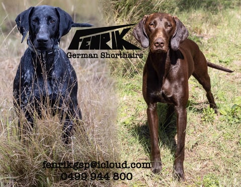 Fenrik Happi Trickster and Lets Go Bananas