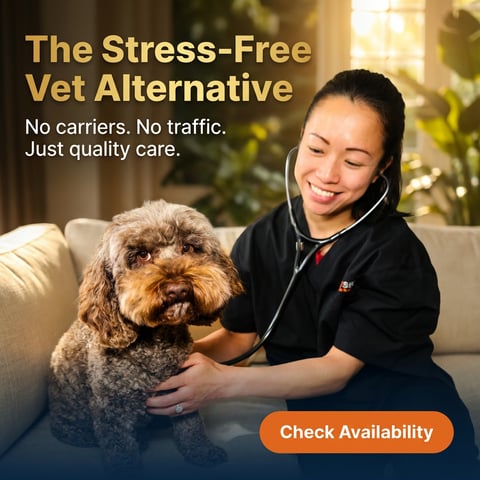 Pawssum mobile vets Sydney