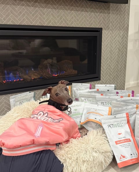 Ghost with his PetWell stash