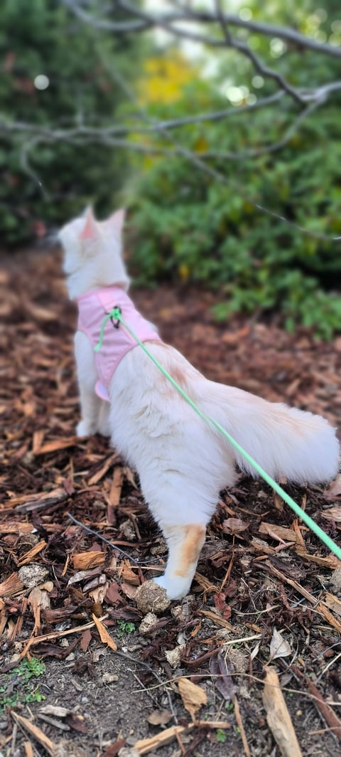 profile (3)