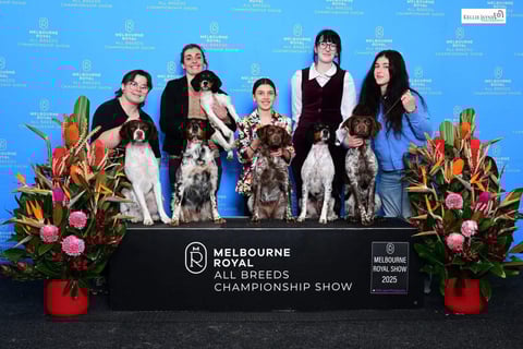 Melbourne Royal 2025 our Brittany team 