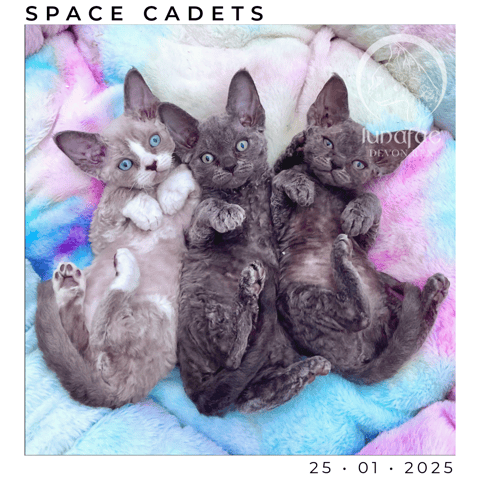 Space Cadets - Comet, Nova, Flare