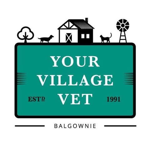 Balgownie Veterinary Hospital - Wollongong