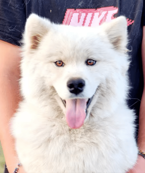 EMIKO