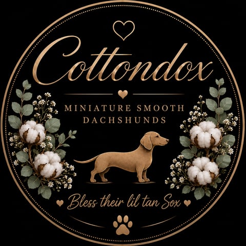 Cottondox 