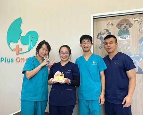 Plus One Vet Nundah Team