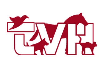 Tamworth Veterinary Hospital - 02 6766 3988