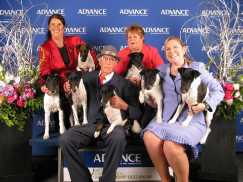  ECIRP wins every class, 2012 Melbourne Royal Show