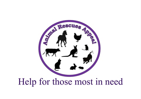 Animal Rescues Appeal