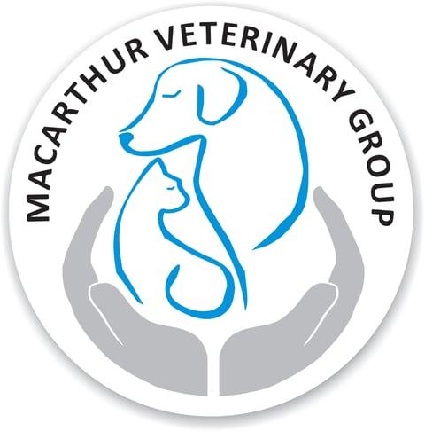 Macarthur Vet Group - Your Family Pet is in Safe H