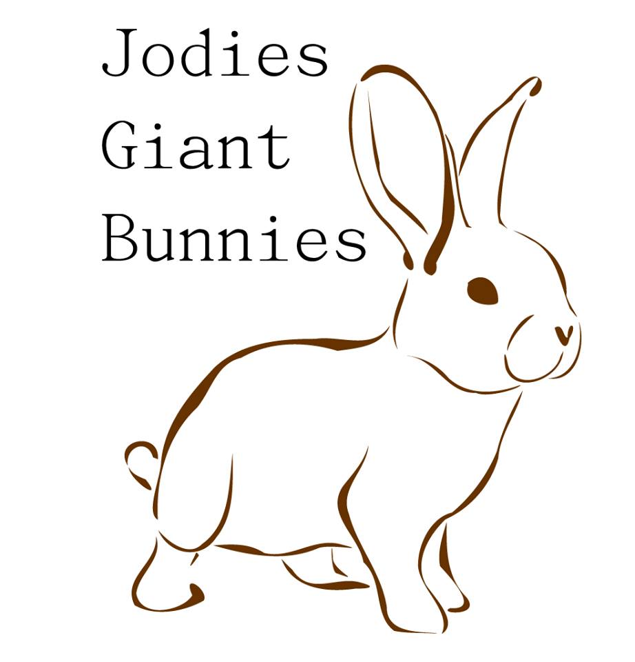 Jodie's Giant Bunnies - Giant Flemish Rabbit Breeder - Mount Gambier ...